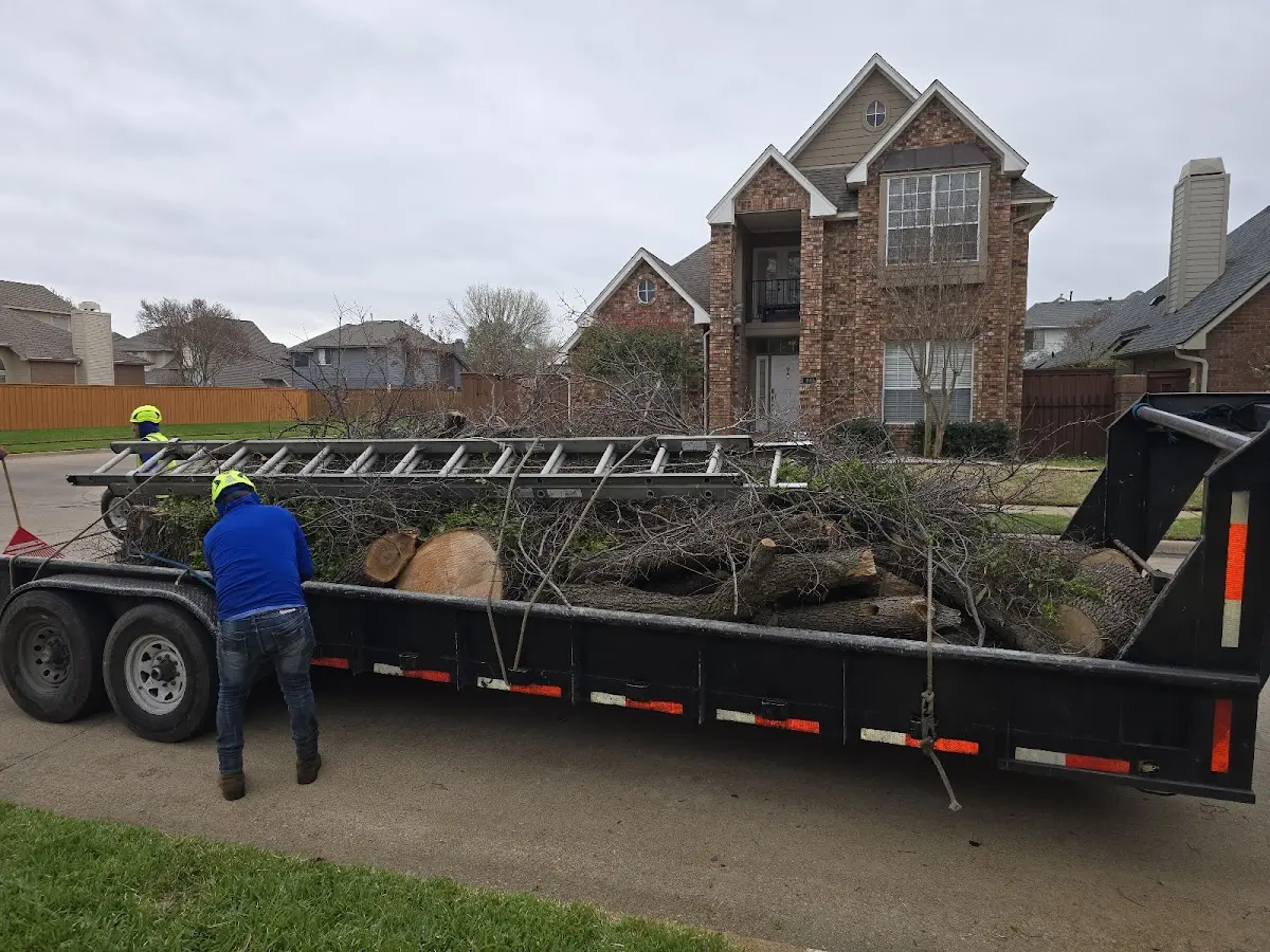 Expert Tree Removal with proper safety equipment in Kittitas
